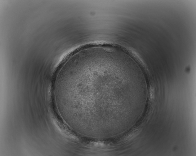 X0000116890588200912291305