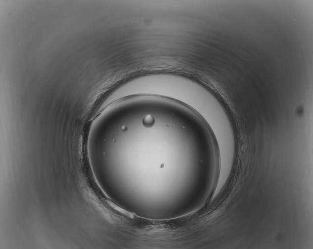 X0000116890589200912291305