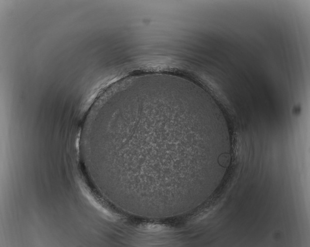 X0000116890590200912291305