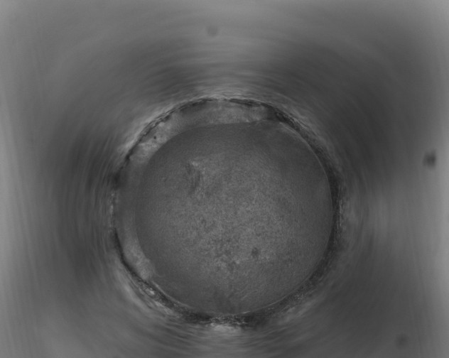 X0000116890592200912291305