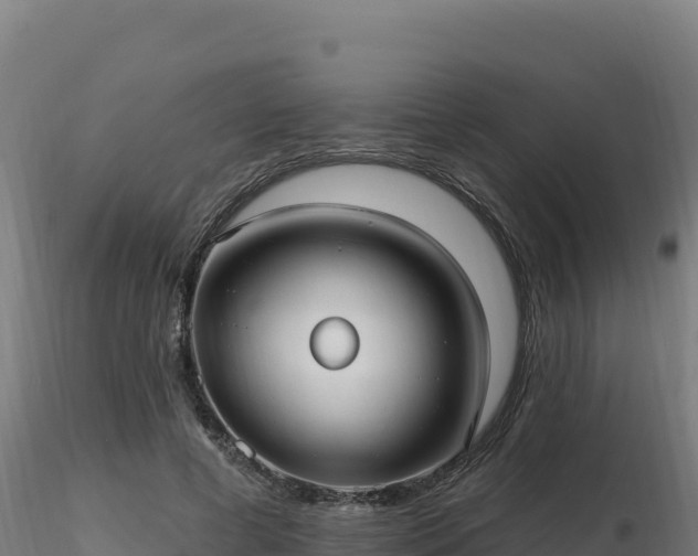 X0000116890593200912291305