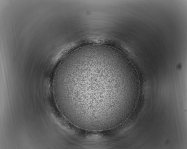 X0000116890594200912291305