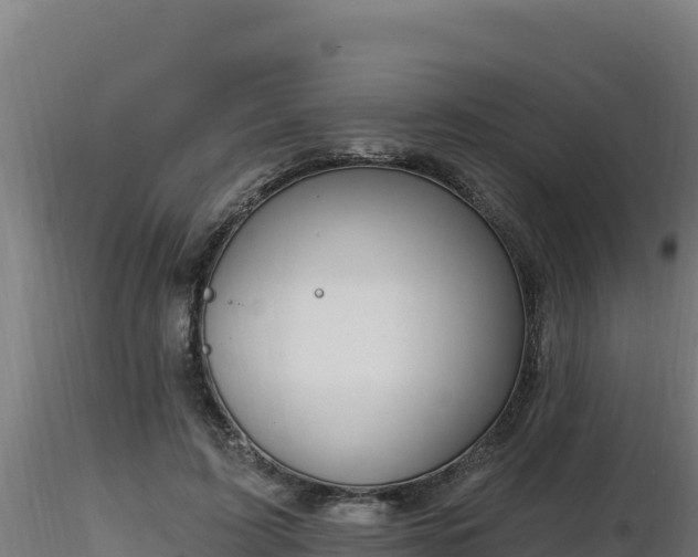 X0000116890595200912291305
