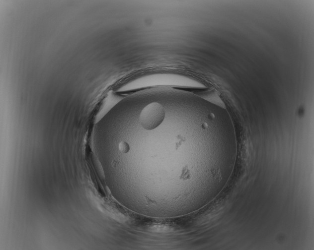 X0000116890596200912291305