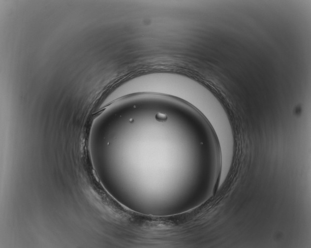 X0000116890597200912291305