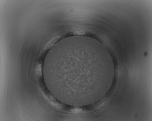 X0000116890598200912291305