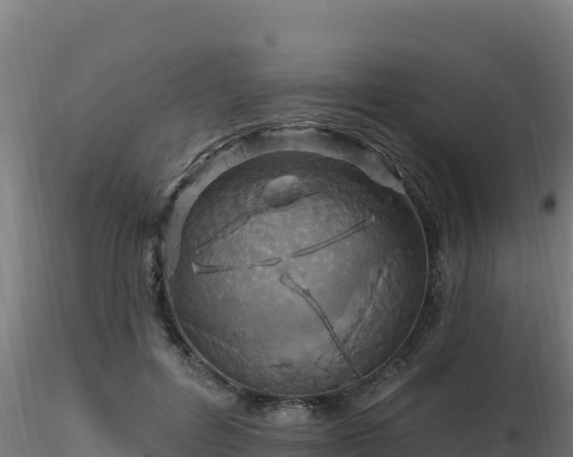 X0000116890600200912291305