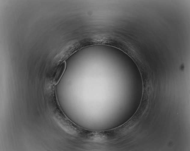 X0000116890601200912291305
