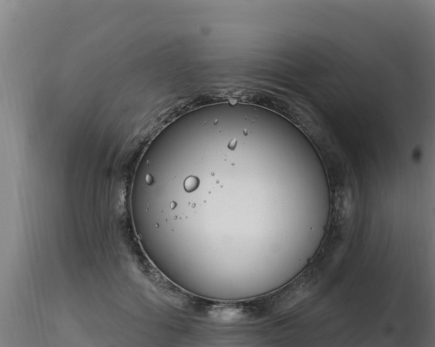 X0000116890602200912291305