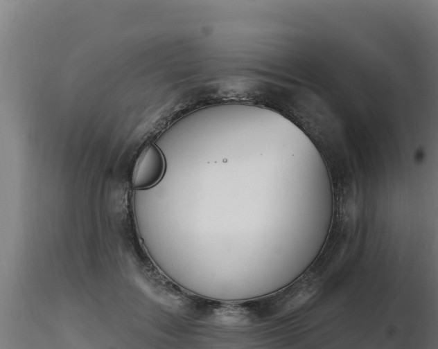 X0000116890603200912291305