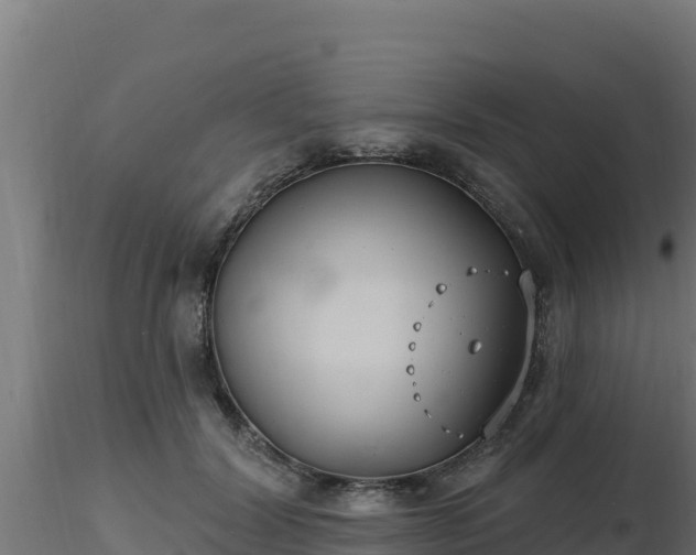 X0000116890604200912291305