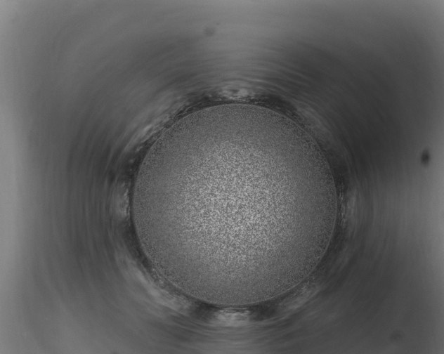 X0000116890606200912291305