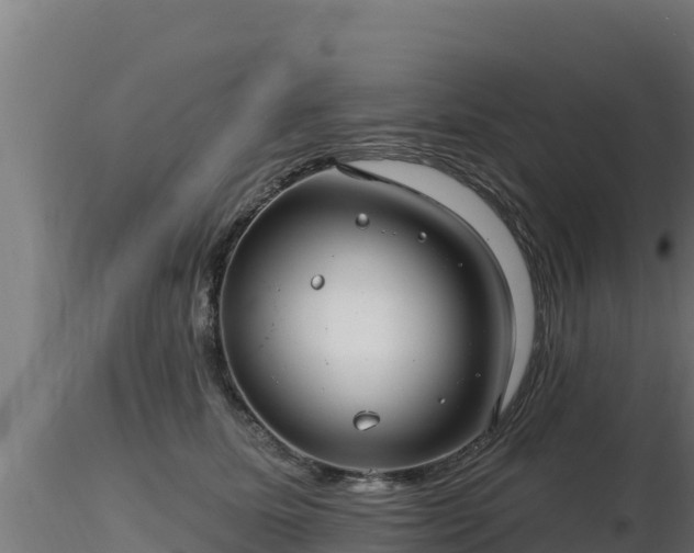 X0000116890611200912291304