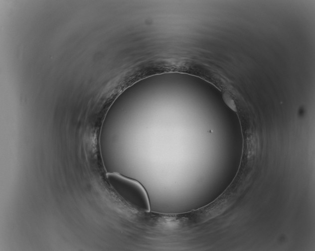 X0000116890613200912291304