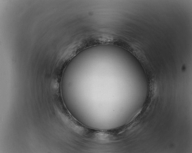 X0000116890614200912291304