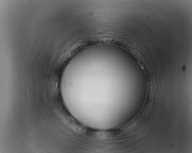 X0000116890615200912291304