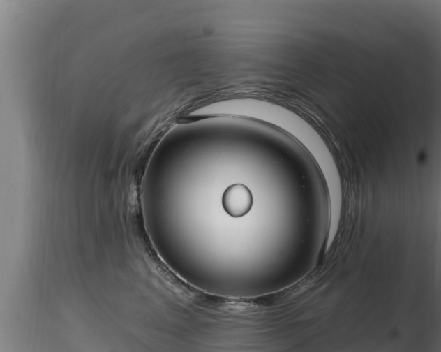 X0000116890617200912291304