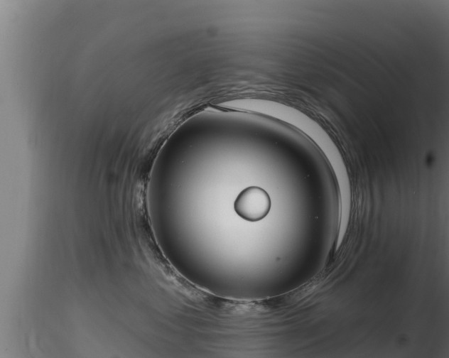 X0000116890621200912291304