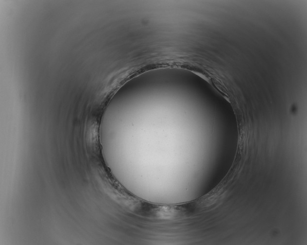 X0000116890623200912291304