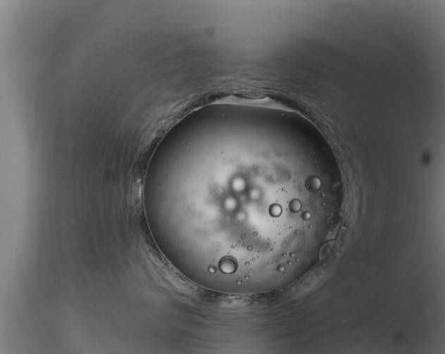 X0000116890624200912291304