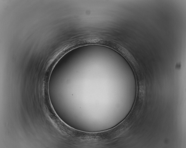 X0000116890626200912291304