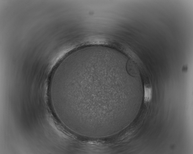 X0000116890627200912291304
