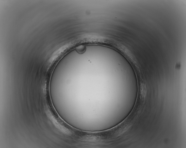X0000116890629200912291304
