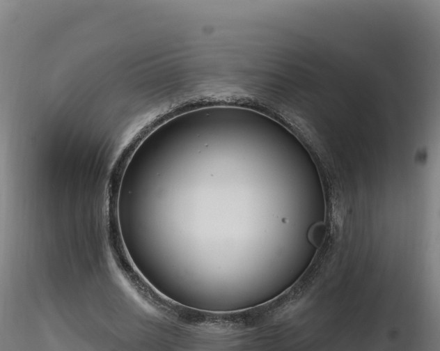 X0000116890630200912291304