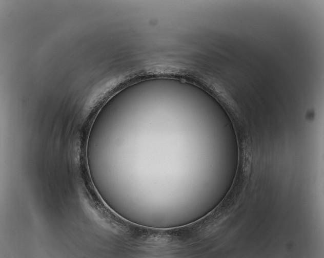 X0000116890631200912291304