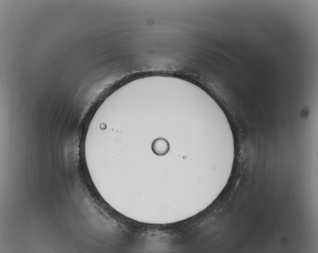 X0000116890632200912291304
