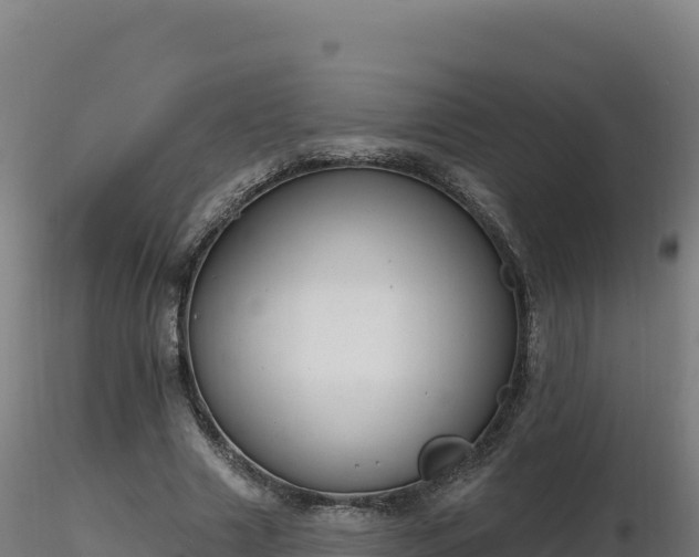 X0000116890633200912291304