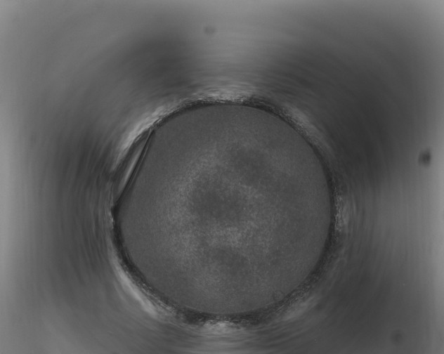 X0000116890634200912291304