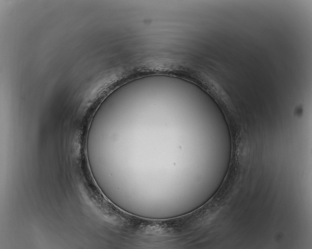 X0000116890635200912291304