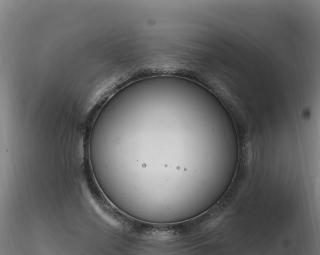 X0000116890638200912291304