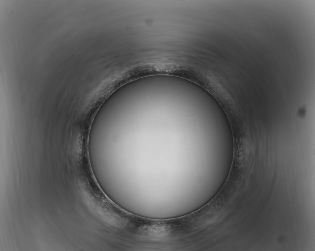 X0000116890639200912291304