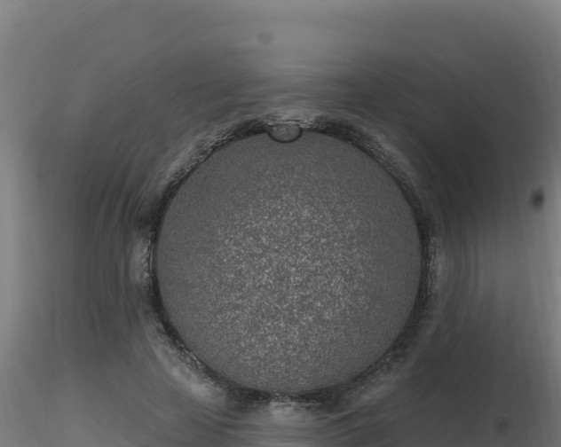 X0000116890641200912291304