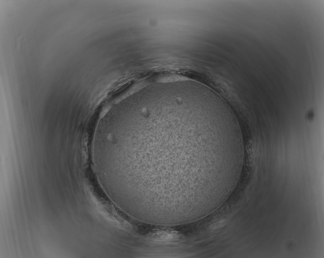 X0000116890642200912291304