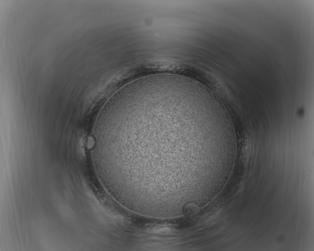 X0000116890643200912291304