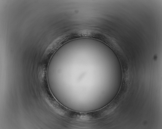 X0000116890645200912291304
