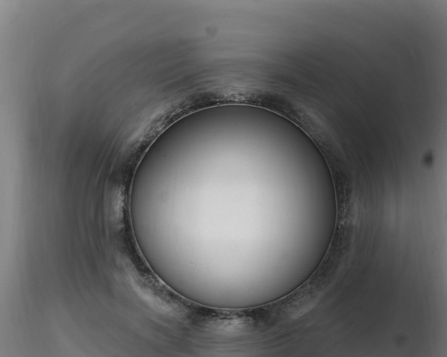 X0000116890646200912291304