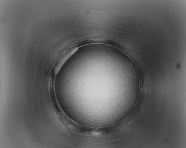 X0000116890647200912291304