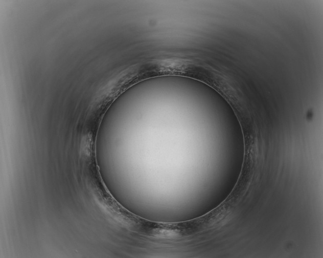 X0000116890649200912291304