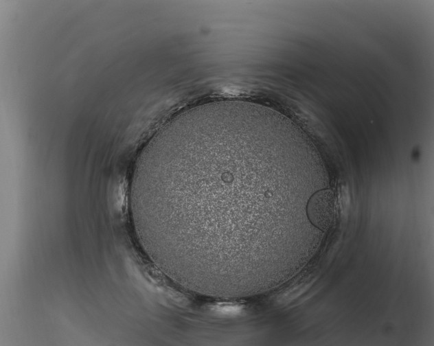 X0000116890651200912291304
