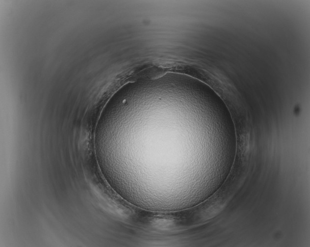 X0000116890653200912291304