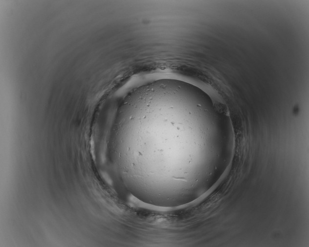 X0000116890655200912291304