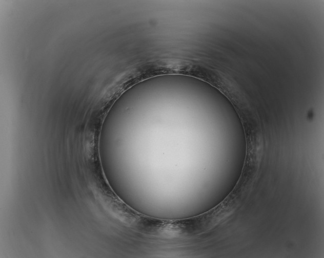 X0000116890656200912291304