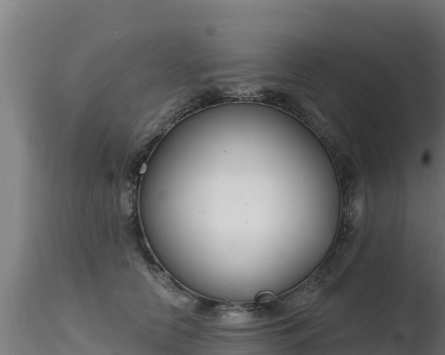 X0000116890658200912291304