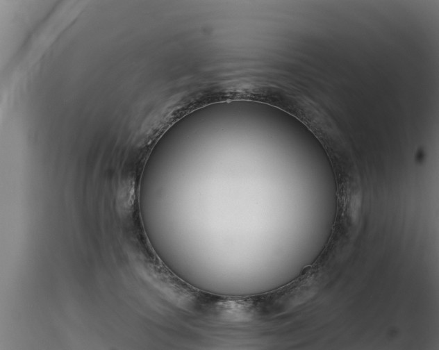 X0000116890660200912291304