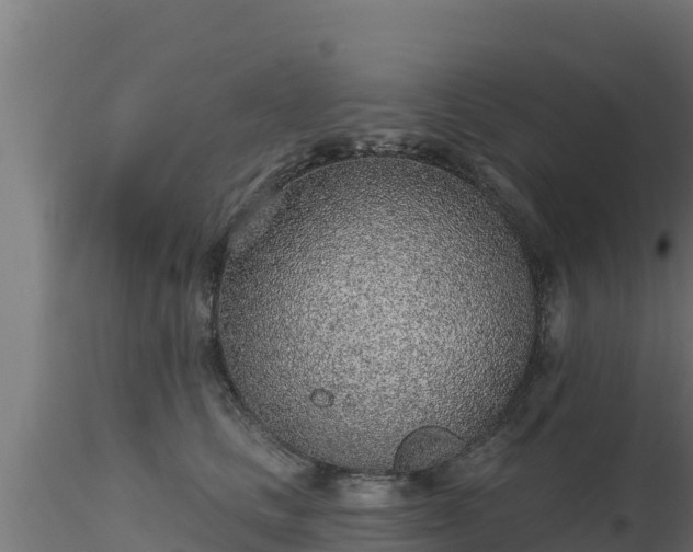 X0000116890661200912291304