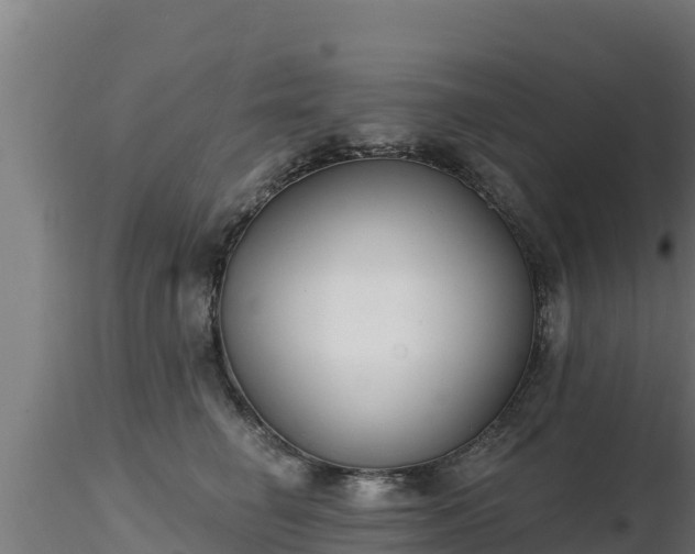 X0000116890662200912291304